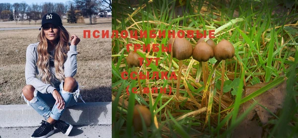 а пвп мука Мегион