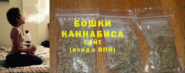бошки Медногорск