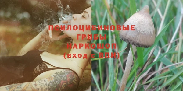 бошки Медногорск